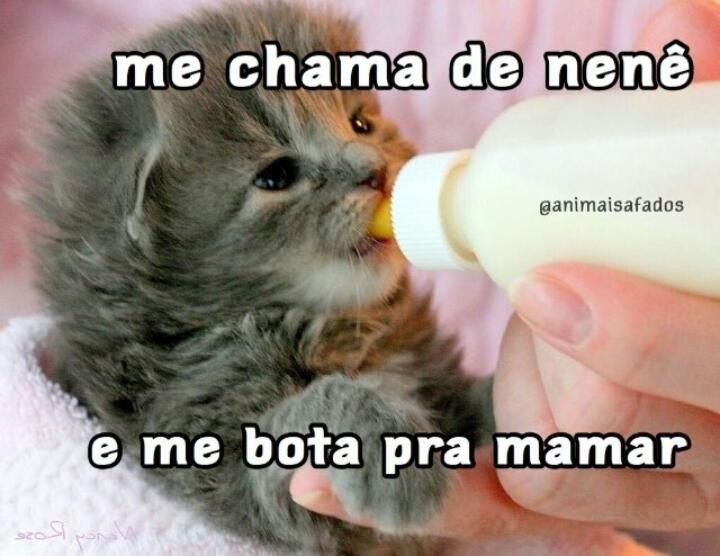 Gab2ZX's tweet photo. Bom Dia 🙈🔥 
.
.
.
#PINTOSAWARDS
#XOTASAWARDS
#TROCONUDS
#XOTAAWARDS https://t.co/PLBRjahjSt