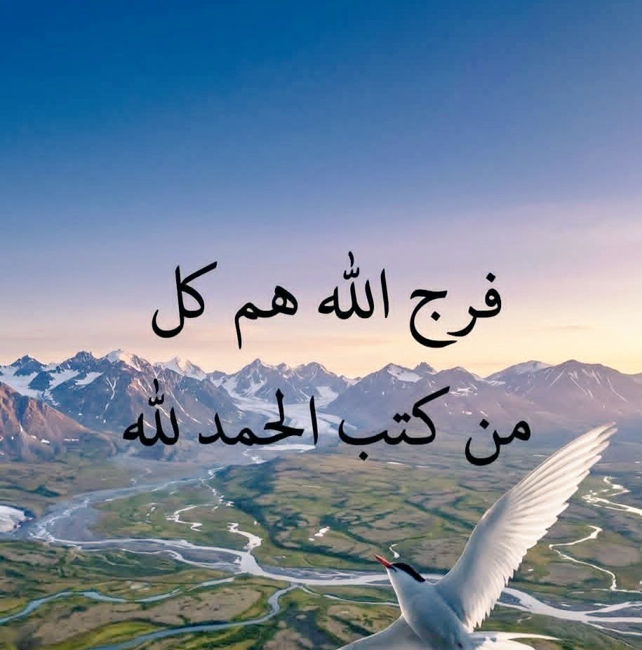 ​﴿ القُـرآن الكَـرِيم ﴾ tweet media