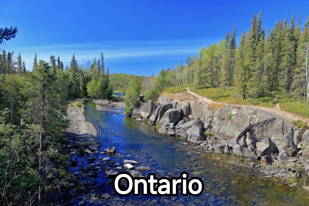WookieInHeat's tweet photo. @TheAdamWaite @ChrisMartzWX That's a bison from Alaska &amp; Yukon

There are cattle ranches in Alaska, not in northern Ontario

The largest wildlife are black bears &amp; deer, who can climb rocks &amp; swim

Go ahead &amp; open the first northern Ontario cattle ranch, maybe bring over some giraffes too?

Wildfires=solved https://t.co/zs9sq1Wd69