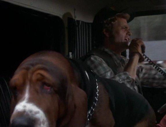 CledusSnow5's tweet photo. Well, butter my biscuits and call me a hammerhead, Gustavo... If ain't nobody got a constitutional right to double-digit returns on their investment, then I reckon you just told every good ol' boy buildin' houses, drivin' 18-wheelers, or haulin' freight that the Man can just slap a cap on what they earn while the rent stays sky-high and the taxes keep eatin' 'em alive like a swarm of Georgia mosquitoes.

Boy, that 12% ain't some magic jackpot — that's what's left after the city hall boys done took their cut, the roof's leakin', the tenants done tore up the place, and the regulators are swarmin' thicker than flies on a gut wagon. You cap that return any lower and watch what happens: ain't nobody buildin' nothin' new, ain't nobody fixin' the old, and pretty soon you got yourself a fine socialist shortage — long waitin' lists, fallin'-down buildings, and everybody livin' like they's in one of them government projects where the paint peels faster than a Bandit run from Smokey. 

Now me and the Bandit, we move eastbound and down, loaded up and truckin'... but we do it 'cause there's money at the other end. Take away the profit and you take away the reason anybody hauls the load in the first place. Your fancy DSA talk sounds real pretty on TV, son, but out here in the real world it just leaves folks with empty pockets, empty buildings, and a whole lotta hot air. 

Martha looked at you like you just grew a second head, and she was right. What in the Sam Hill are you talkin' about? This here's America, good buddy — property rights ain't optional, and neither's the incentive to keep a roof over people's heads. Now if you'll excuse me, I got a load to deliver before some socialist decides truckers ain't allowed more than single-digit miles per gallon neither. 10-4, good buddy... Snowman out.