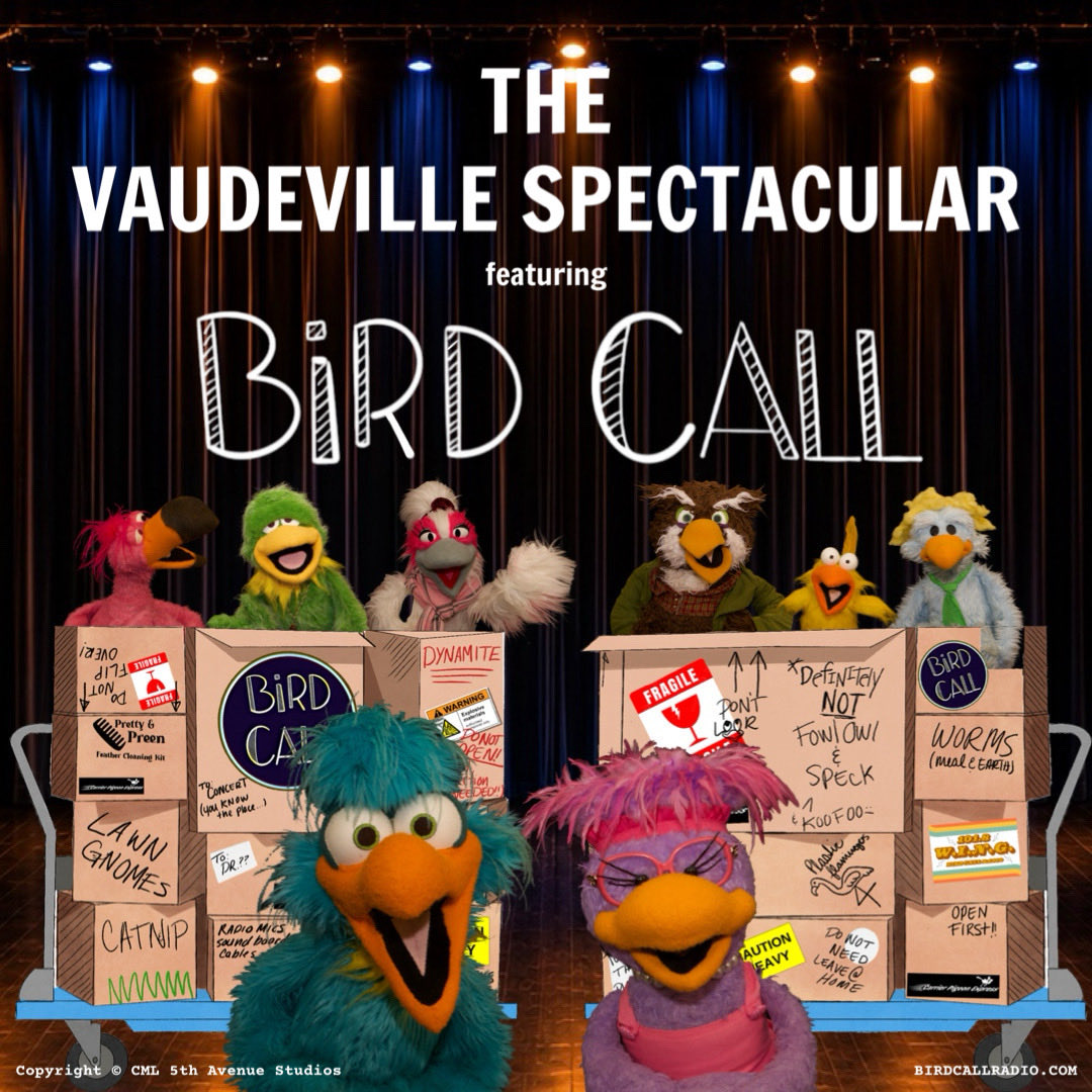 BirdCallRadio's tweet photo. One week away! The birds are packing up W.I.N.G. and heading to the Dr. Phillips Center to perform in The Vaudeville Spectacular on July 25th!

Tickets available at https://t.co/3nsCfkeUjf

Art by Mandy Frazier

#birdcallradio #birdcall #concert #show #orlando https://t.co/2iqrJnRw3g
