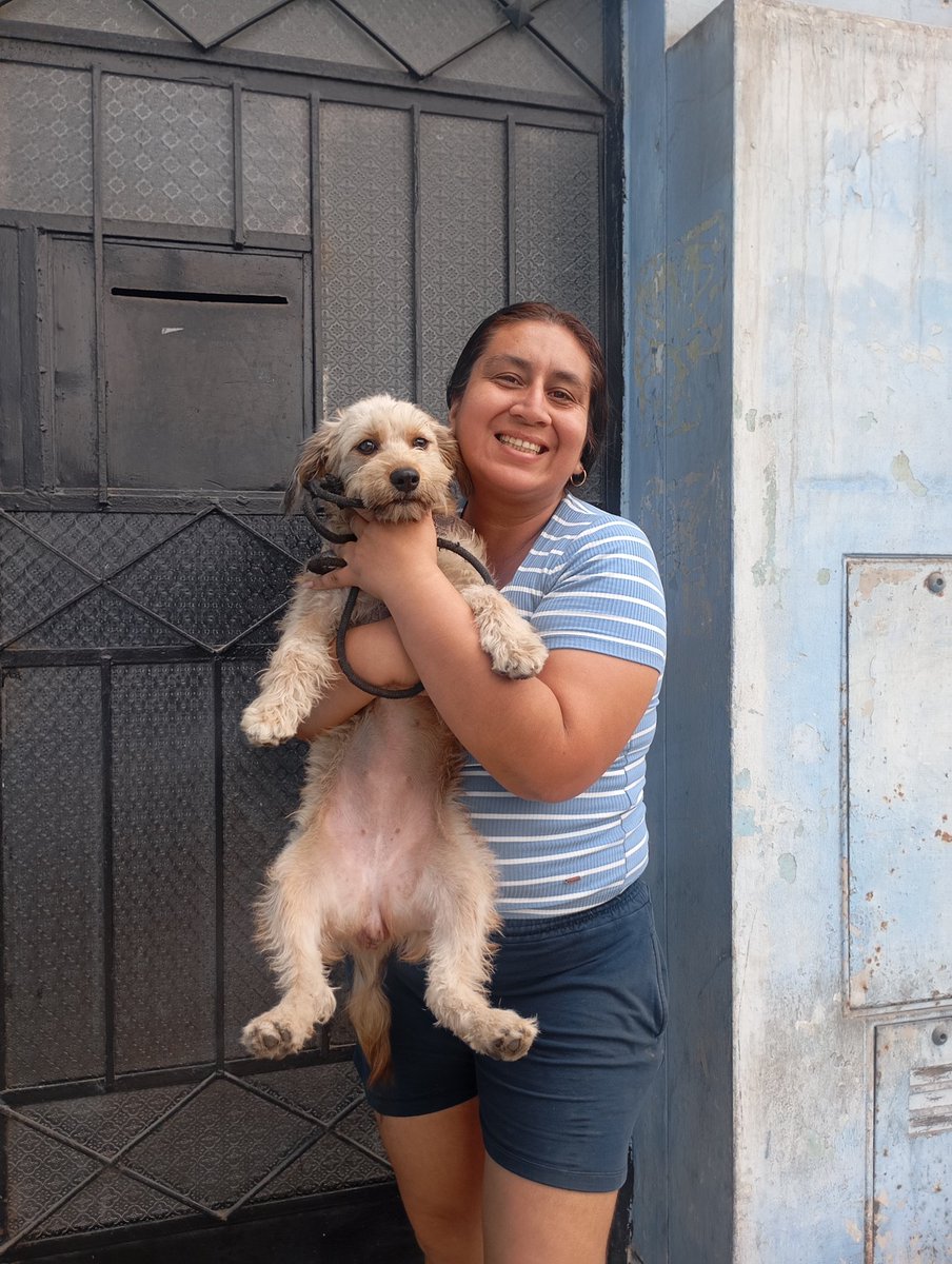 Peluadopres's tweet photo. Adopción urgente solo tiene 6 meses fue abandonada. Al parecer está entrando en primer celo. La tienen actualmente en un kiosko (no hay otro lugar) Están buscando ayuda para esterilizar pero si nadie la adopta, la soltaran 😢
Callao 
Contacro: Betty 928 296 015 https://t.co/N26jhe5jTk