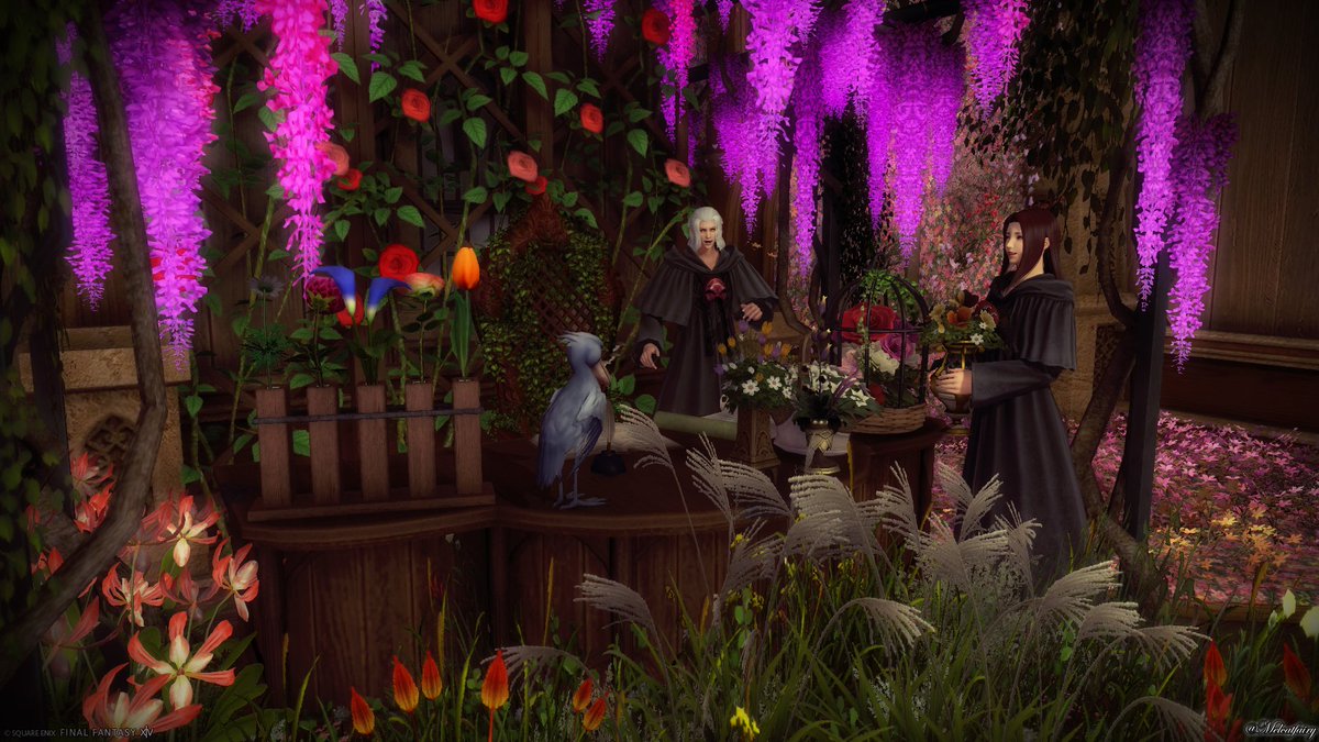 Melcatfairy's tweet photo. She thought his desk looked too dull and plain, so she decided to add a little color... just a little 😏 #FFXIV #GPOSERS #FFXIVScreenshots #EorzeaPhotos #ffxivsnaps #Ascian #EmetSelch #Azem #Azemet https://t.co/9SgCTCmgP8
