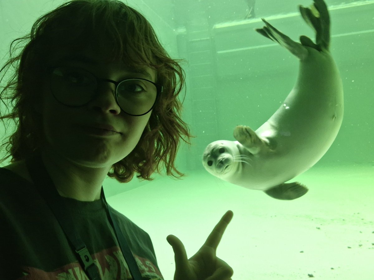 cattomeerkat's tweet photo. Hiii👋

#アザラシ幼稚園
#WEC 
#sealtwt https://t.co/4UFqvAkiri