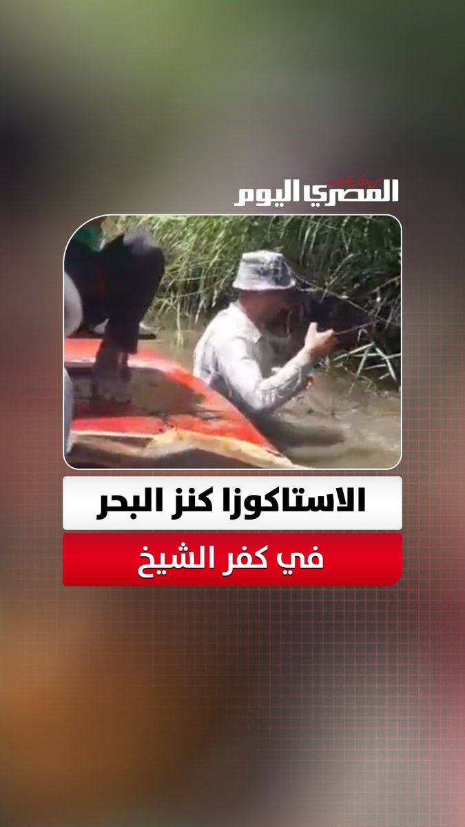 صيد مختلف.. الاستاكوزا كنز البحر في كفر الشيخ وسعر الكيلو يتجاوز 500 جنيه 