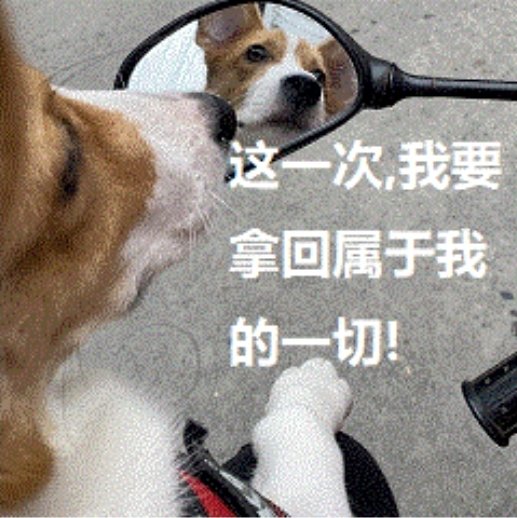 美股混学家 tweet media