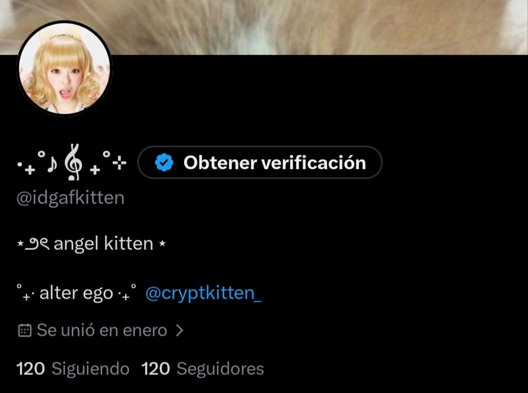 idgafkitten's tweet photo. 120 SEGIDOREZ, LOS AMO MUTIS <3
MUCHAS TENKIUS https://t.co/Vn5EeCRSrU