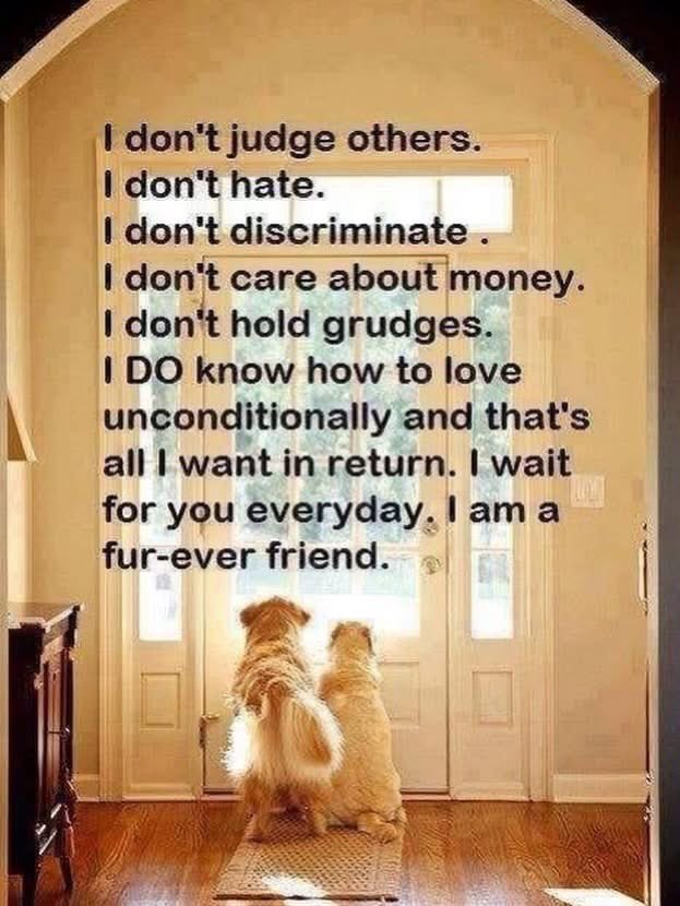 SuzetteCumberl1's tweet photo. @AntiWokeMemes Any prophet who counts dogs as an enemy is not a prophet I recognize. I certainly feel my dogs are much cleaner than he or his people are. They are part of my family. You are not. https://t.co/N9JOFj6jf5