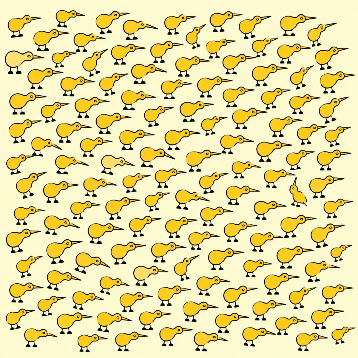 addictbirdpump's tweet photo. 1000 holders in the $kiwi family, over $3000 in rewards for @ToEndAddiction. No KOLS, just a bunch of $kiwis with their own stories! https://t.co/ia6RmzP1mL