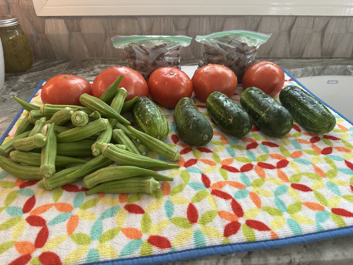 DannyGarrett44's tweet photo. Today’s haul from the Trussville Farmer’s Market. 

#tomatoes
#cucumbers
#okra
#boiledpeanuts https://t.co/lUMpdL9EMr