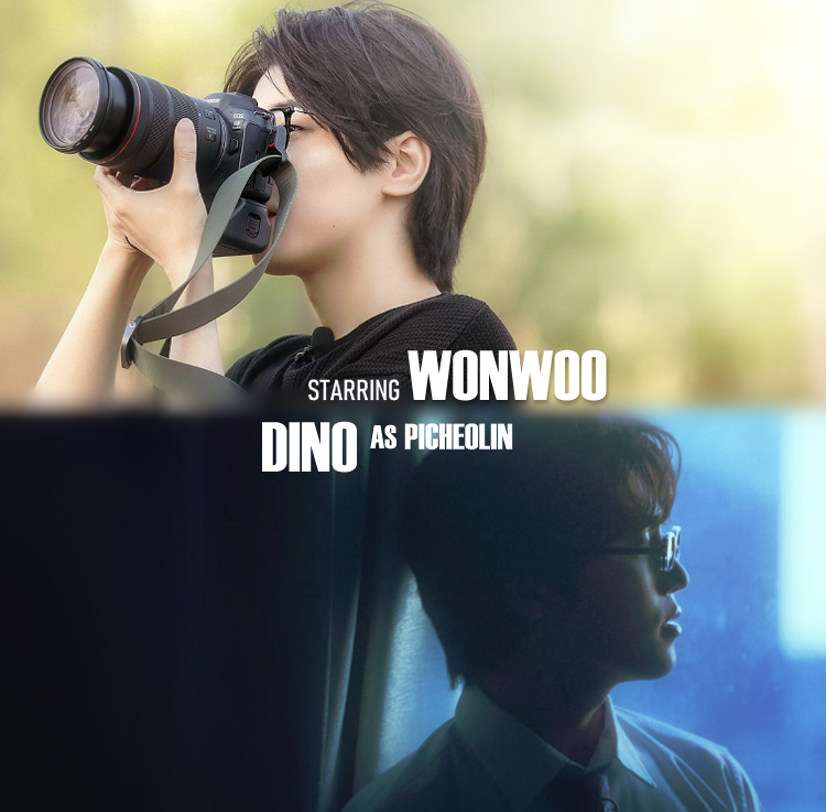 mingyursonly's tweet photo. focused spotify playlist for dino's love sick, beyond the dream, and wonwoo's 'spring, summer, fall, winter' (kr and jpn ver)🌻

other new releases are also included here, feel free to use and share~

w♡nchan 🌻🔗: https://t.co/c6pBs1S2j5 https://t.co/Th4V4yBbQe