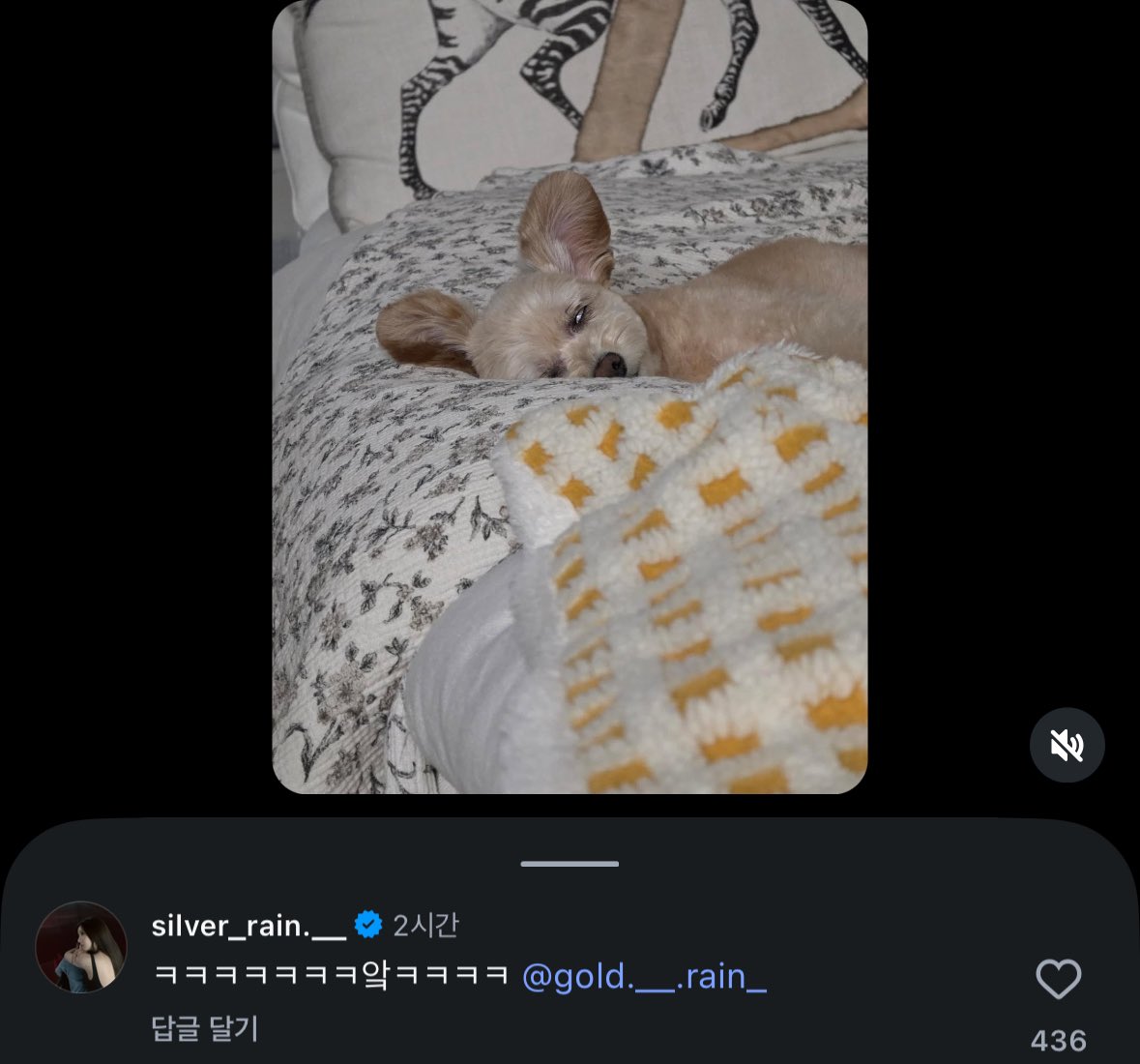 KEB_archive's tweet photo. 은비 댓글 #권은비

ㅋㅋㅋㅋㅋㅋㅋ앜ㅋㅋㅋㅋ @ 금비 https://t.co/Rm5jCN2WxG