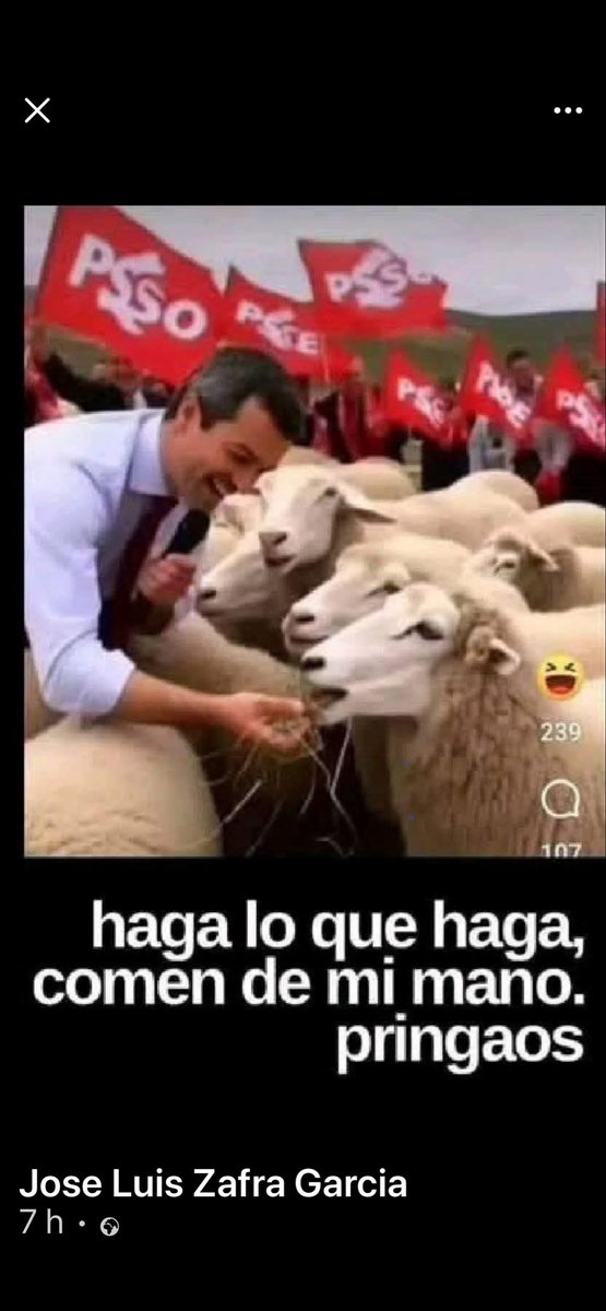 cantabrorobert's tweet photo. @ChermitaBunica @NunezFeijoo Otra pobre trágala Sanchista ! https://t.co/bie6iuOxQn