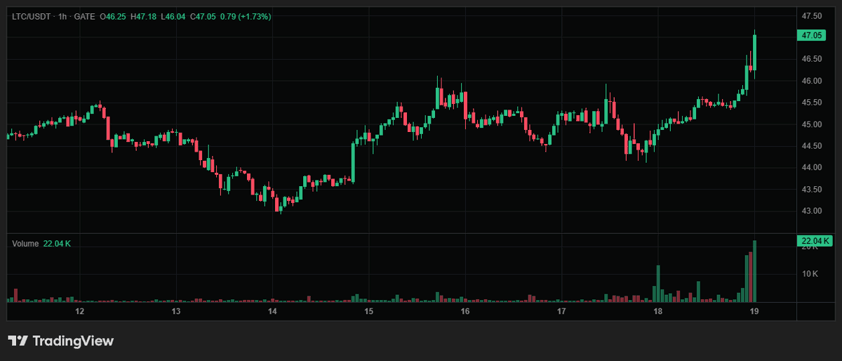 MidasHandxyz's tweet photo. Litecoin sensing @LitecoinVM mainnet coming soon.

Probably nothing, still early. https://t.co/SsXgEv9RYH