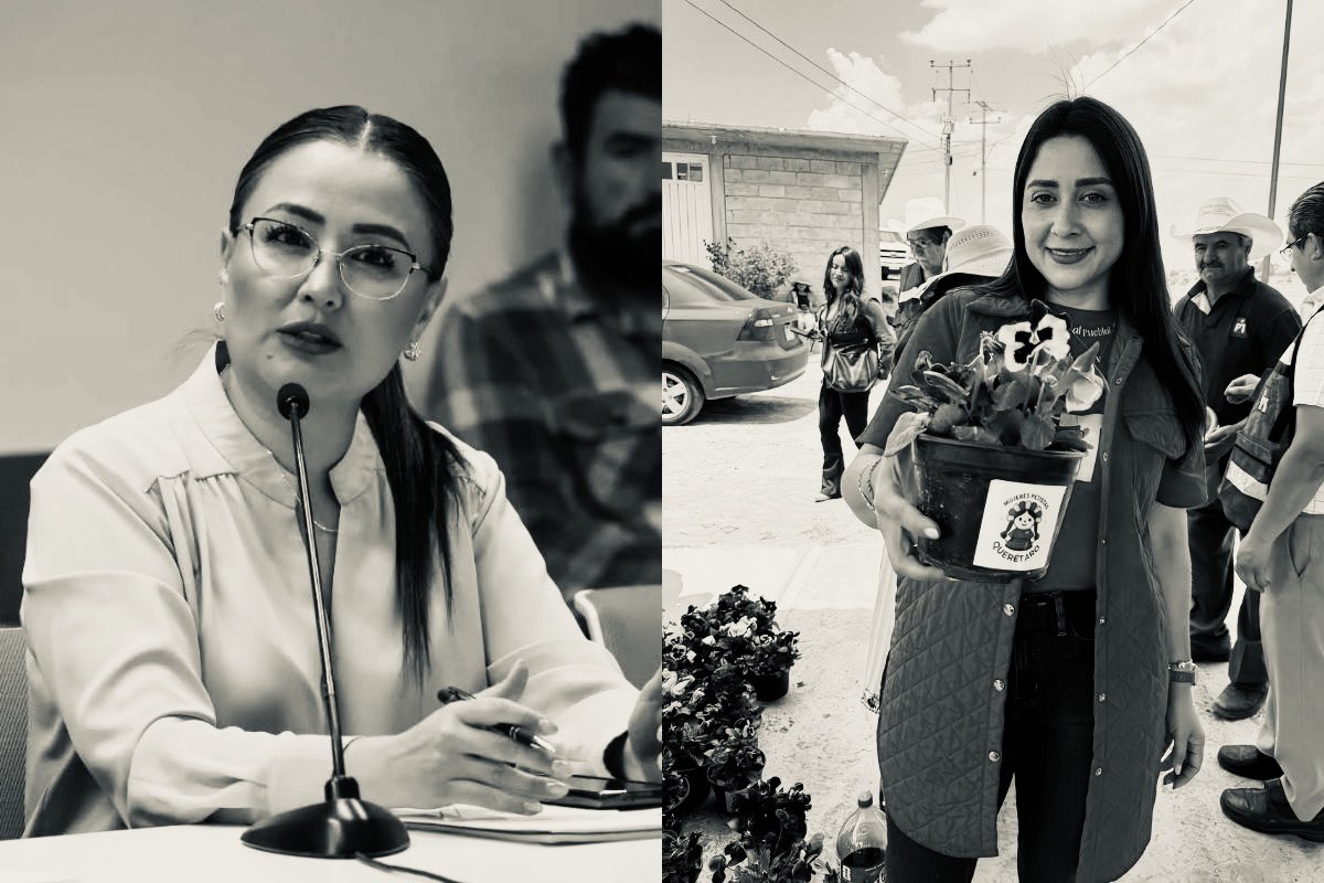 hector_sinecio's tweet photo. #MONITOR #LaNeta #TVQ Orillan a Diputada @claudia_gayou a irse del @PTQroEstatal y ahora quien la recibe con los brazos abiertos es @astudilloqro ; Resultado, la #4TaLaQuerétana gana una coordinadora y operadora más para el @partidoverdemex ; Y ahora si hay tiro @SNietoCastillo https://t.co/wcA77hA4ng