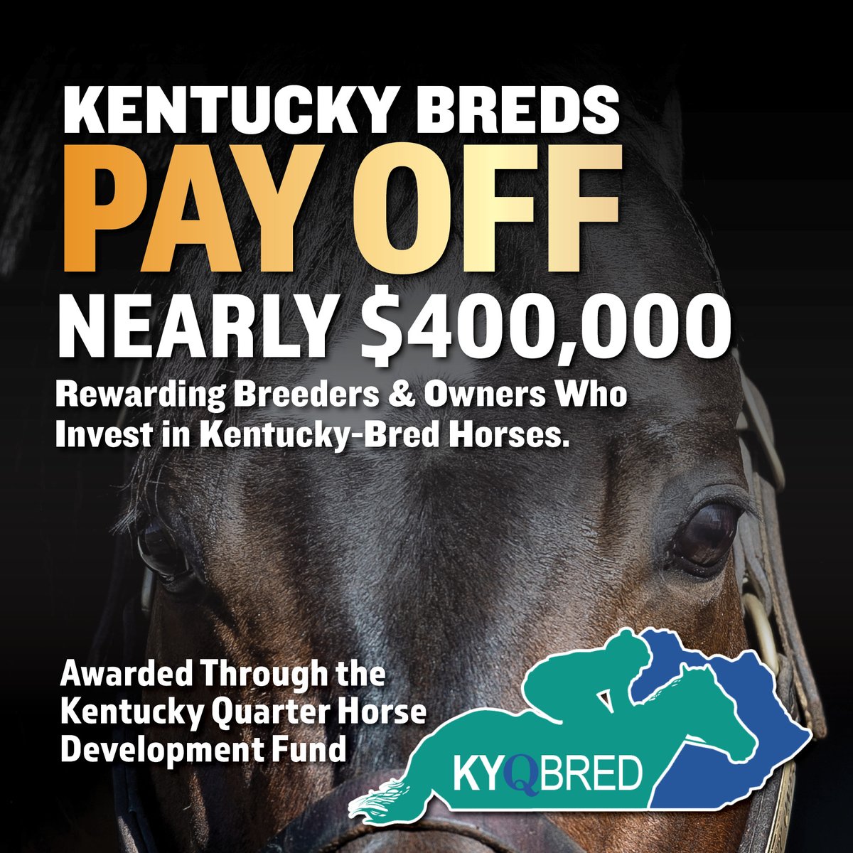 SeSRacingNews's tweet photo. 📷 The nearly $400,000 awarded through the Kentucky Quarter Horse Development supports:
📷 Purses for KYQHRA-affiliated race meets
📷 Breeder incentive awards
📷 Kentucky mare, stallion, and foal registration programs
📷 Promotion of Kentucky-bred Quarter Horse racing opportunities

Invest in Kentucky. Race in Kentucky. Earn in Kentucky.
Learn more about the Kentucky Quarter Horse Development Fund and the opportunities available at https://t.co/gVqvS093DU.
#Stallionesearch #KyQHRA #KentuckyQuarterHorseRacingAssociation #Quarterhorseracing