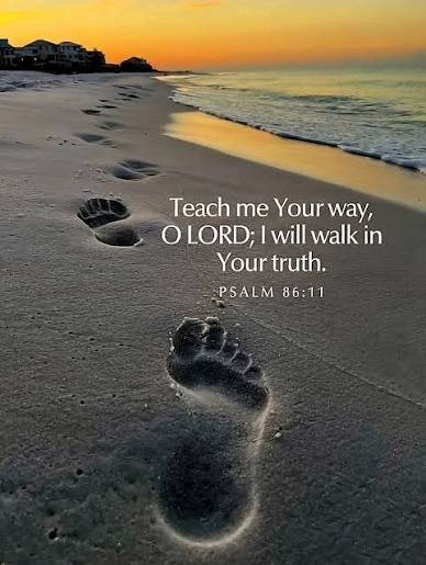 pluther7's tweet photo. GOSPEL FOR JULY 19, 2026,Matthew 13:24-30, 36-43; Other Scriptures, Isaiah 44: 6-8; Psalm 86: 11-17; Romans 8: 12-25  His angels will collect out of his kingdom all causes of sin. Then the righteous will shine like the sun in the kingdom of their Father. Anyone with ears listen! https://t.co/fJW3sdmd5T