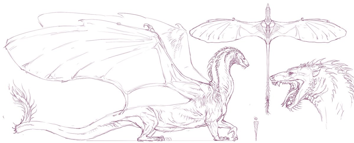 RoosterNuke's tweet photo. Some dragon #sketches https://t.co/m7SwXqDQ3W