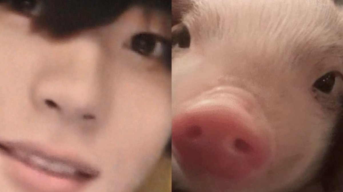yourrubyx's tweet photo. อุ้สเต็มจอ . . . ૮₍ •͈⚇•͈♡̷ https://t.co/wzTZ3GAHPY