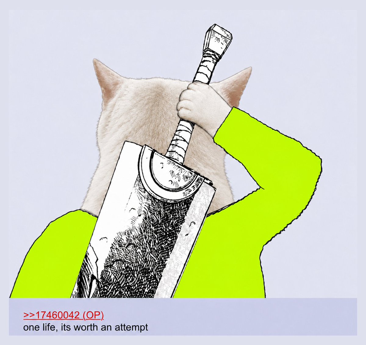 Cash Cat tweet media