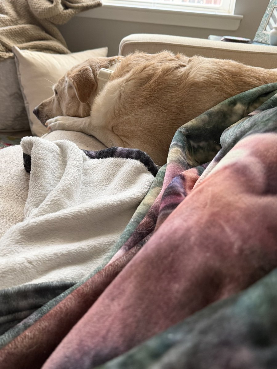 torijacobs tweet picture