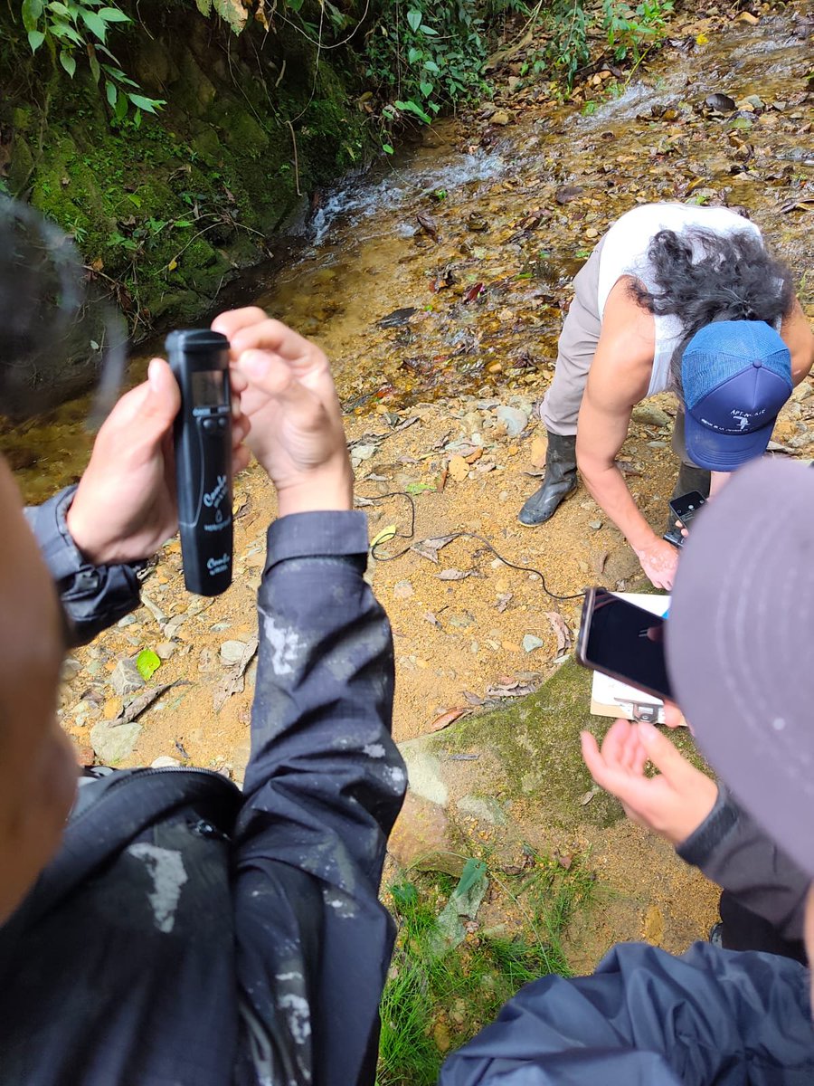 APTNorteEcuador's tweet photo. @CorteConstEcu @DEFENSORIAEC 🌎 Compartimos imágenes de nuestro programa de monitoreo del agua en los Andes Tropicales del noroeste de Ecuador, una de las regiones más biodiversas del planeta y un territorio que hoy enfrenta una creciente presión por la expansión de las concesiones mineras industriales.
📸 https://t.co/MOiSKon0l6