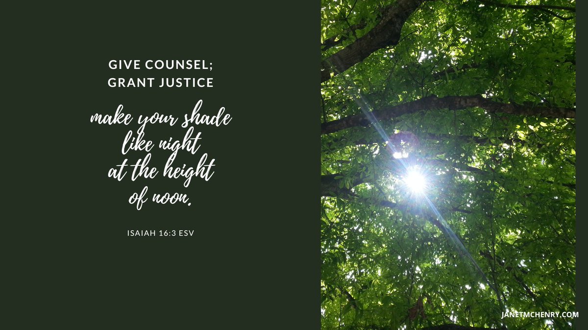 LookingUpFirst's tweet photo. "Guide my steps, God!" #lookingupfirst https://t.co/MkXYjyrWw8 https://t.co/yTiOUpXg4i