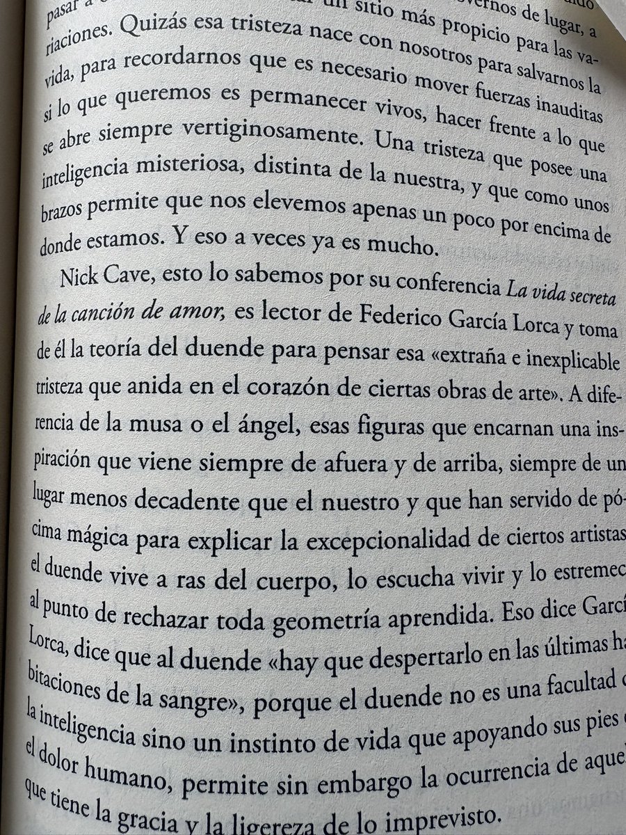 ana_josefa's tweet photo. #Libros
📚
“Pánico y Ternura”, de @PazLopC
Premio @CirculoCriticos
Mañana en @tvbiobio en #DelFinDelMundo
Con @marcodelaparra conversamos con Paz López en torno a este libro ¡que no logro soltar! 🫶🫶 https://t.co/wXAiggfBDe