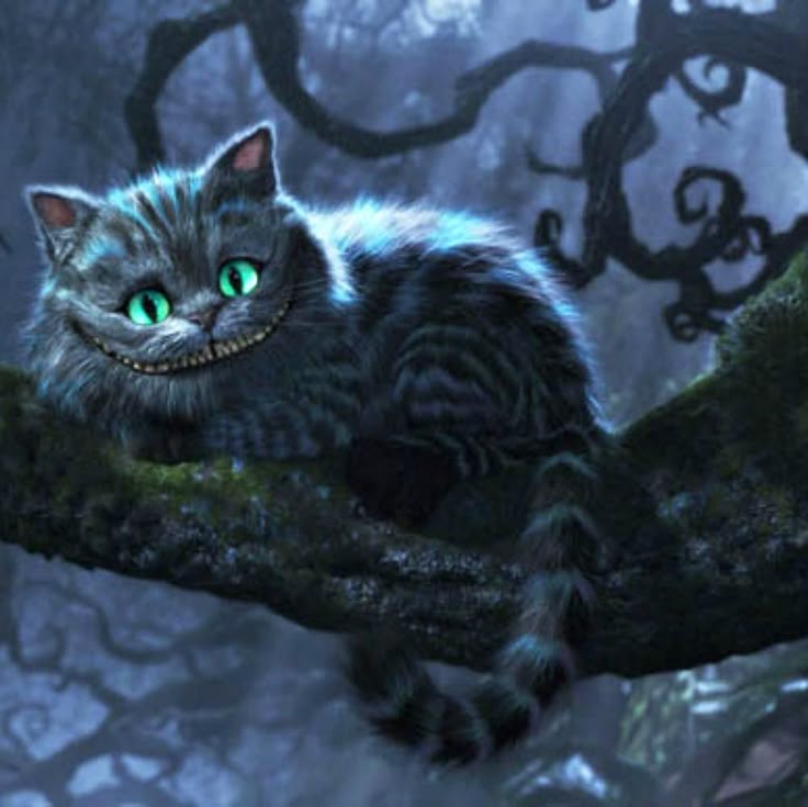 skarsgarden_'s tweet photo. แ
แ
แ
๐๐'๐ซ๐ ๐๐ฅ๐ฅ ๐ฆ๐๐ ๐ก๐๐ซ๐.
#FamousAltDay #AltCats #HTBFAltDay https://t.co/FvQrMdIFVD