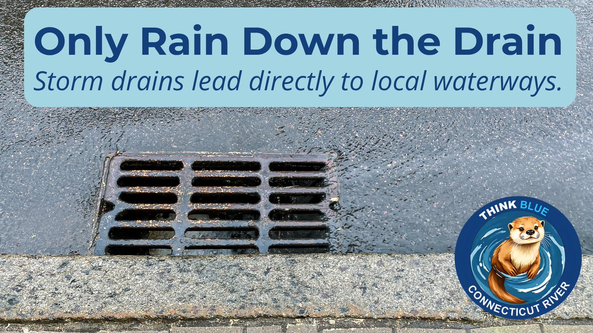 ThinkBlueCTR's tweet photo. ๐ง๏ธ๐ง Storm drains aren't connected to a treatment plantโthey flow directly to local rivers and streams. Keep litter, leaves, chemicals, and pet waste out of drains. Remember: only rain belongs down the drain!
#MS4 #ThinkBlue https://t.co/BRXA1JK84M