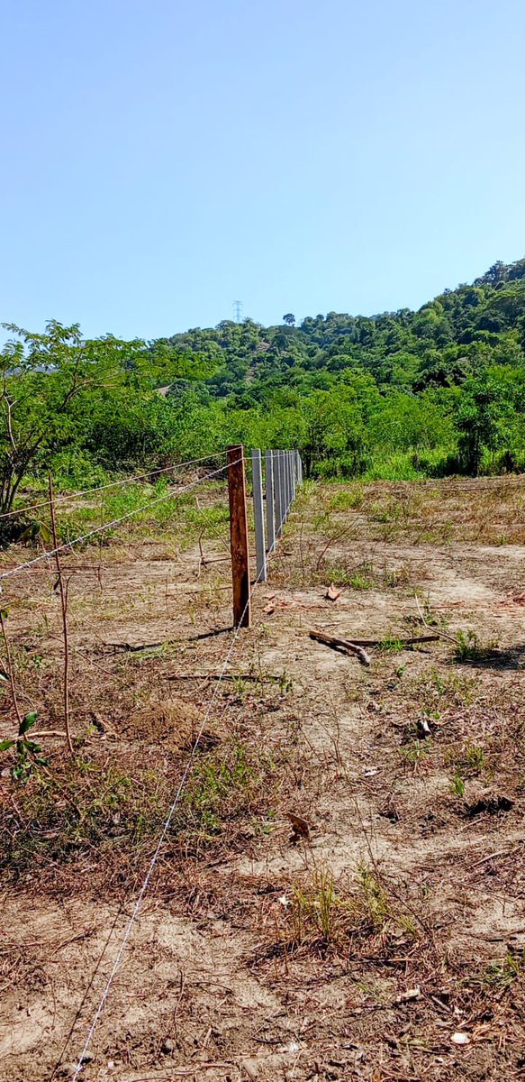 SomosVicsa's tweet photo. En Vicsa construimos soluciones que brindan seguridad, delimitación y durabilidad a tu finca.
Porque proteger tu predio también es cuidar tu producción.

¿Necesitas asesoría para el cerramiento de tu terreno? Escríbenos 📲

#somosvicsa https://t.co/pyJrJyNtr8