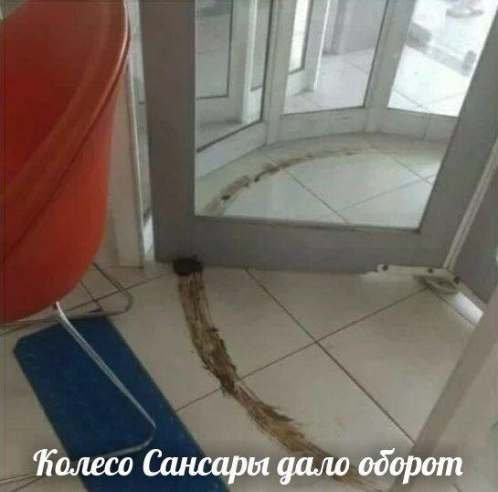 dead_morality's tweet photo. К сожалению эти два мема слишком хорошо описывают мою личную жизнь. https://t.co/iPmcCthEZU