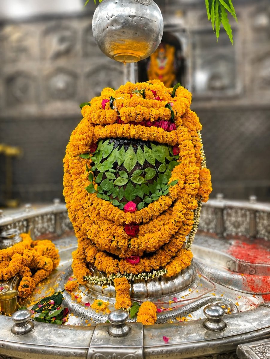 immortaldharma's tweet photo. One darshan lifetime blessings https://t.co/2pmhZKTAoS