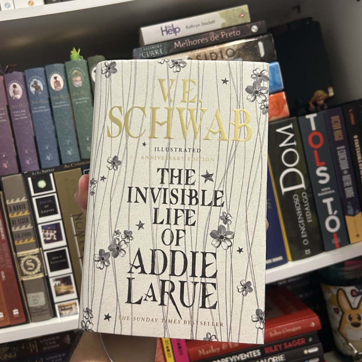 GabrielValjean's tweet photo. • Terminei “A vida Invisível de Addie LaRue” e estou devastado, que final lindo!

• Essa edição que comprei é primorosa, cheia de imagem e simbolismo…acabei de descobrir que a flor que aparece várias vezes nessa edição se chama, popularmente, Forget-Me-Not (Não-Me-Esqueças) 😭 https://t.co/ROpDXfeEaE