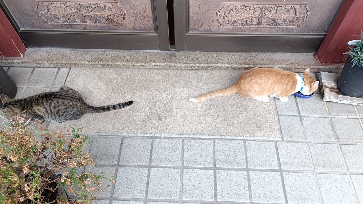 sentyanz's tweet photo. おはよー！ https://t.co/pLmTCr8Njt