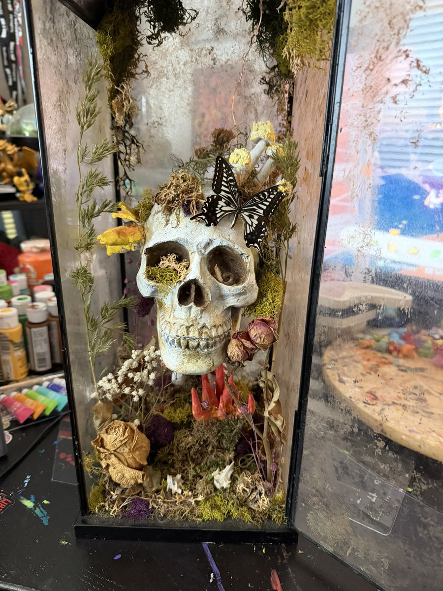 DeviouslyDoomed 👉 Curiosities Expo tweet media