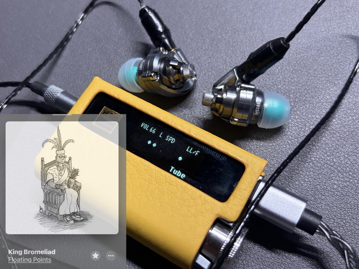 gisserjesser's tweet photo. The meal is indeed very well made yum
#audio #iems #headphones #hifi #music https://t.co/pGUhkJVMhm