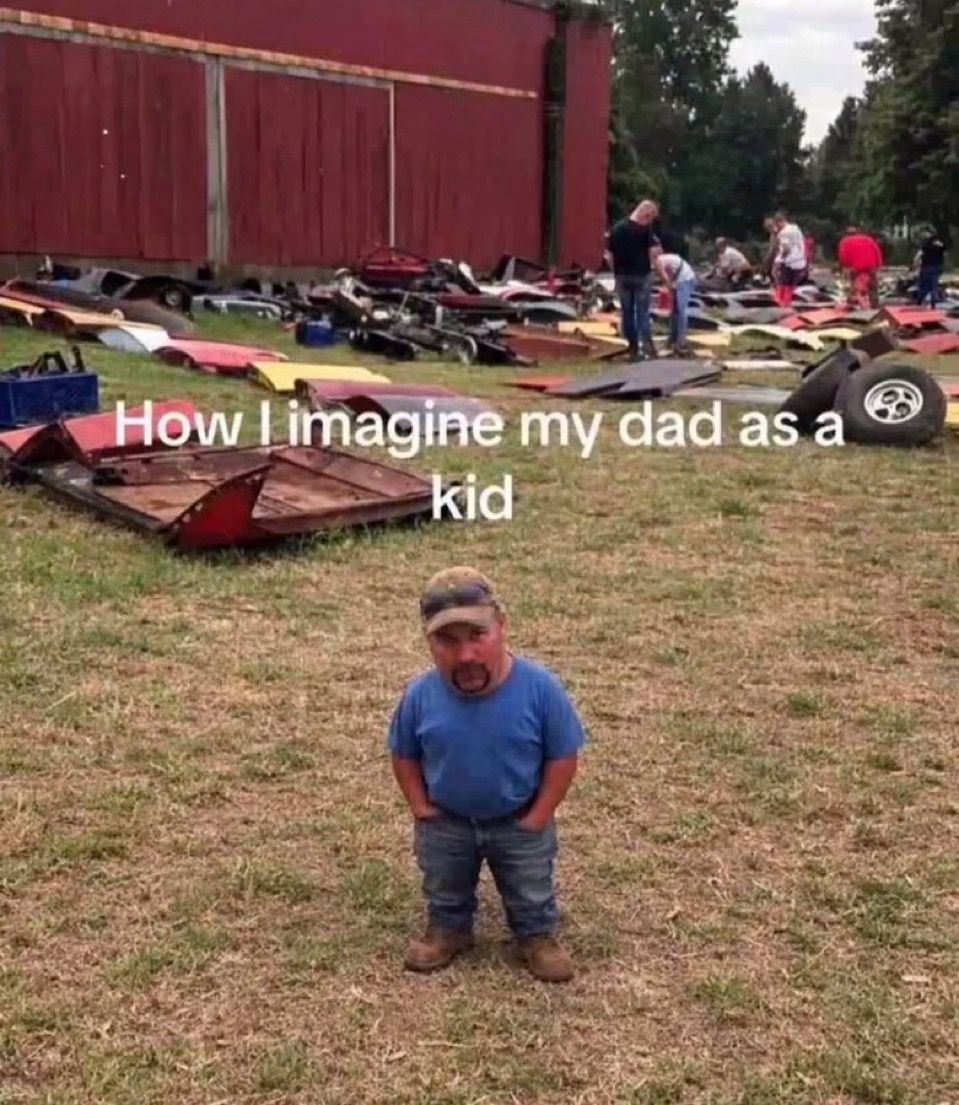 memes in my folder tweet media