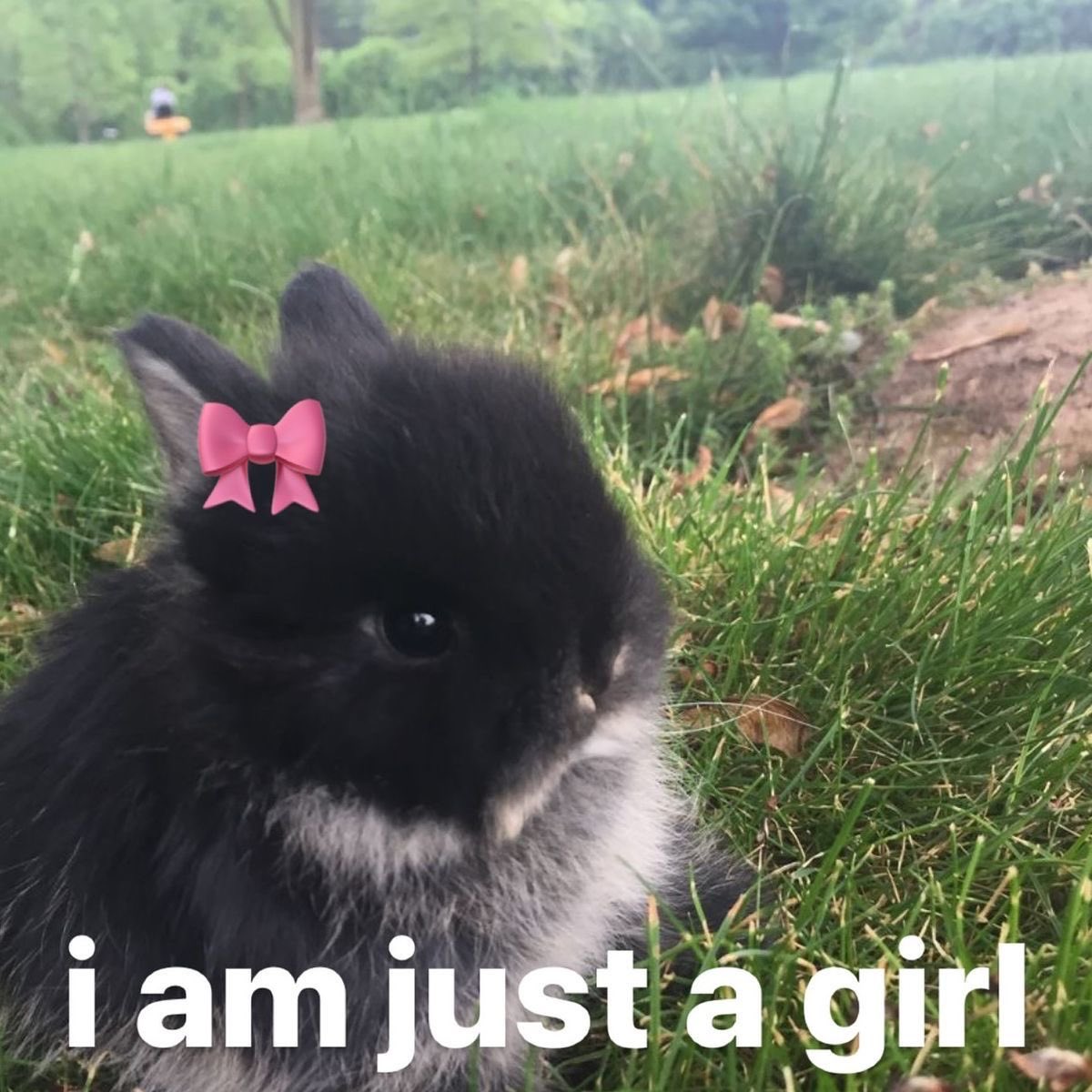 astralbaes's tweet photo. https://t.co/nLSNWcFh2e