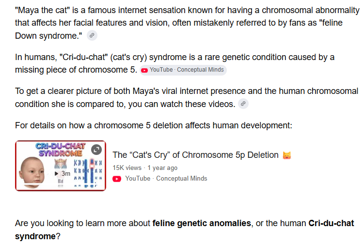 JeffBarnwell's tweet photo. Kind of Crazy we had all of these retarded animal runners and we didn't have Maya. Maya suffers from chromosomal abnormality that affects her facial appearance, she is genuinely The Downie Cat and has down syndrome .
Even look at her face, the first ever Downie Cat.
She has nearly 500K followers and super viral.
This is the definition of a brainrot animal
https://t.co/eRBL0KCXQp