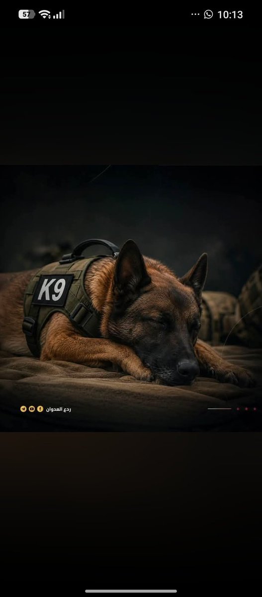 عبد الله tweet media