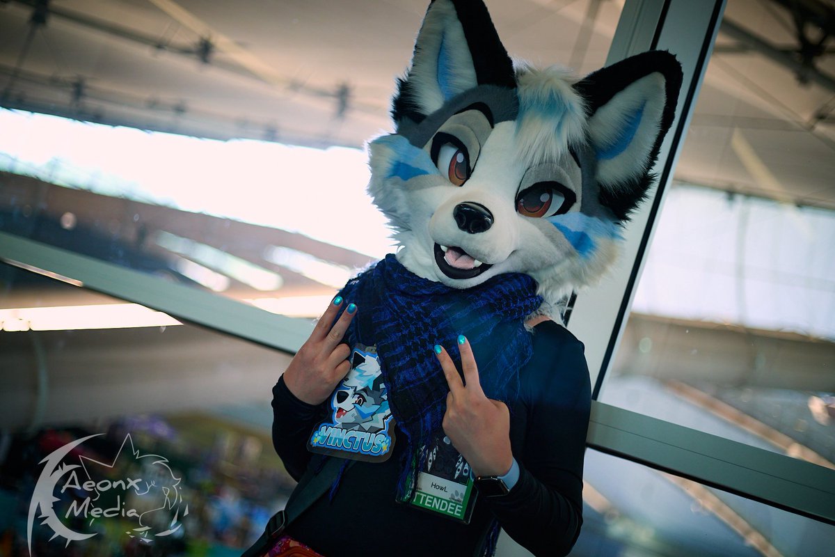 Aeon (Kjrrehll) 🇨🇦 🔜 CanFURence tweet media