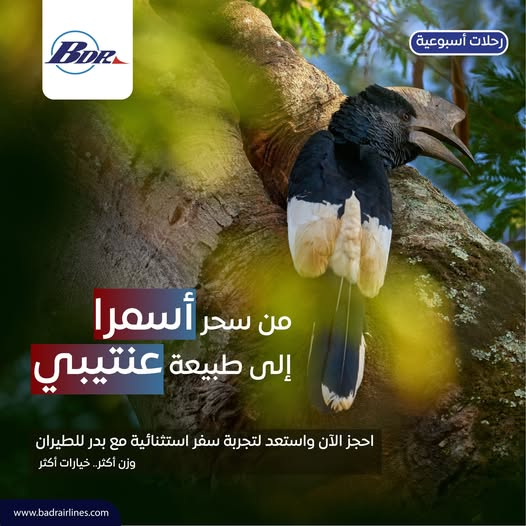 Aviation Echo | صدى الطيران tweet media