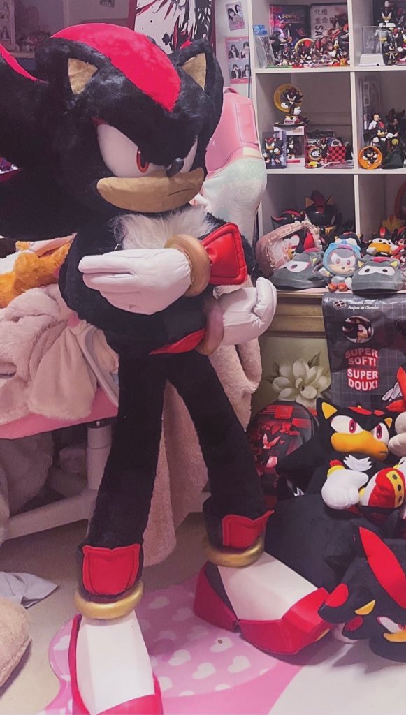 🐇 𝓥𝓪𝓷𝓲𝓵𝓵𝓮 🔜 Sonic Live 💌 tweet media