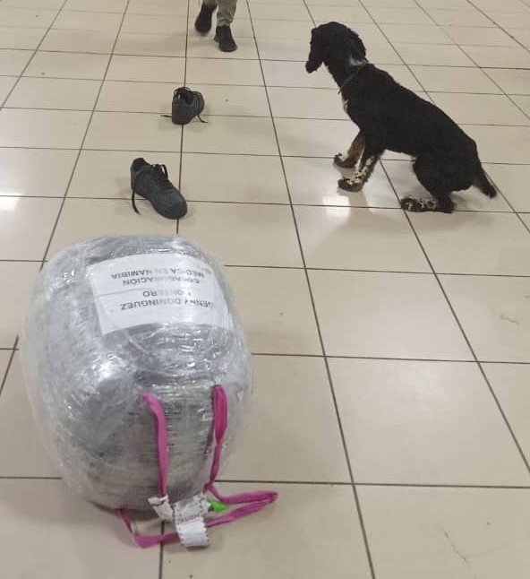 vicejefeagr's tweet photo. Detectado COCAINA oculta en la planta del pie e interior del tenis de un pasajero que arribó por el Aeropuerto de La Habana. La DROGA fue descubierta con el uso  efectivo de medios técnicos, la canina, profesionalidad y accionar conjunto de la #AduanadeCuba y órgano antidrogas https://t.co/Xjm0oJBI44