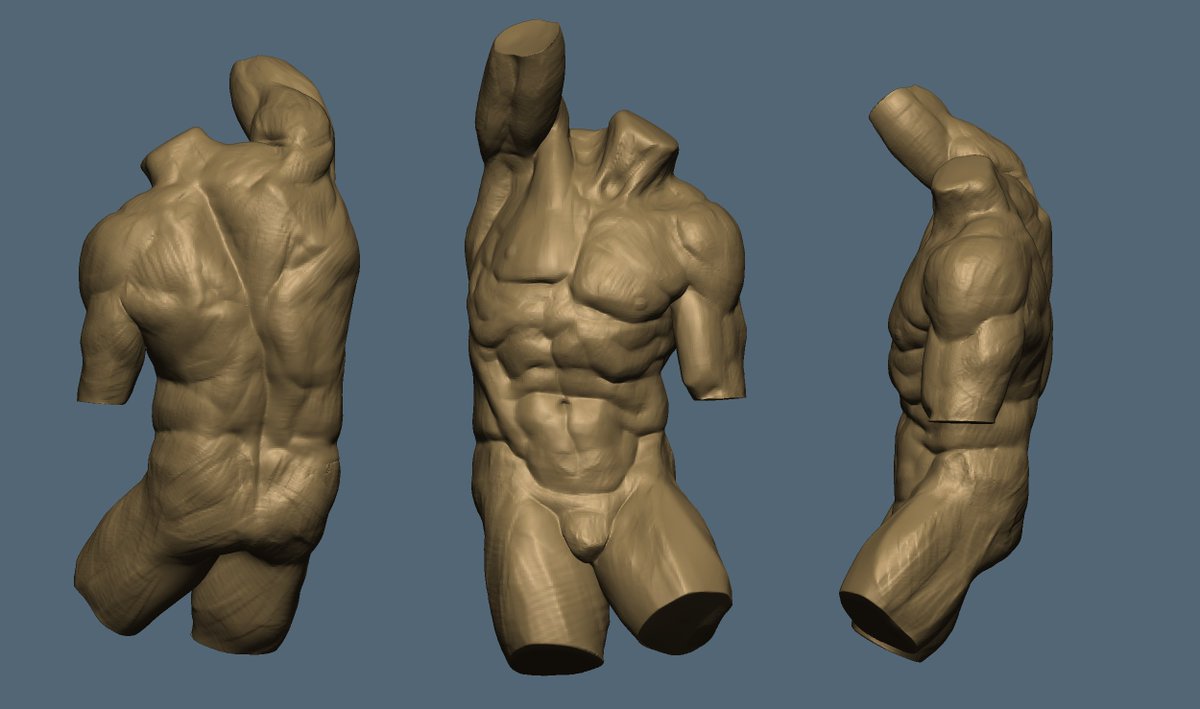 Sapuletu's tweet photo. Today's Study #3: Torso practise based on Pregione by Michelangelo https://t.co/9NU9TIUtZG