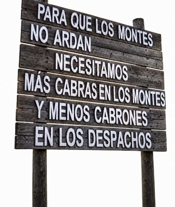 joJonycastro83's tweet photo. #Aragonarde #España #مولانا_سے_معافی_مانگو #ゼンゼロ #آئین_شکن_مقدس_گائے #Spahn #Valparaíso #gobiernodearagon #PSOE #PP #mundialdefutbol2026 https://t.co/4nqB5ud4aM