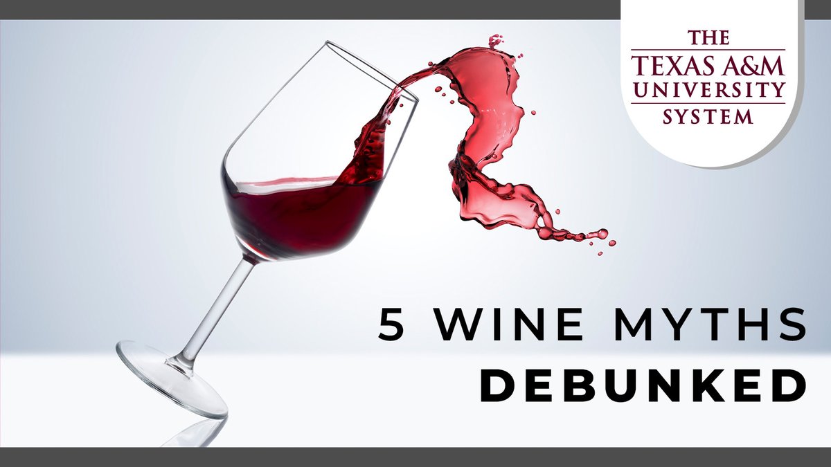 tamusystem's tweet photo. How many wine myths do you believe?

An @txextension scientist debunks five myths that shape how people buy, pour, and talk about wine. 

Some of them are costing you money. One of them has been unfairly blamed for decades. All of them will help you make better choices in the wine aisle: https://t.co/k0LBMSYVN1