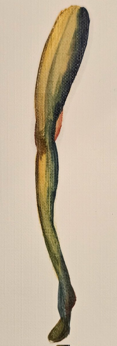 on____0's tweet photo. Drawing⑫ https://t.co/O0xJdt7RyJ