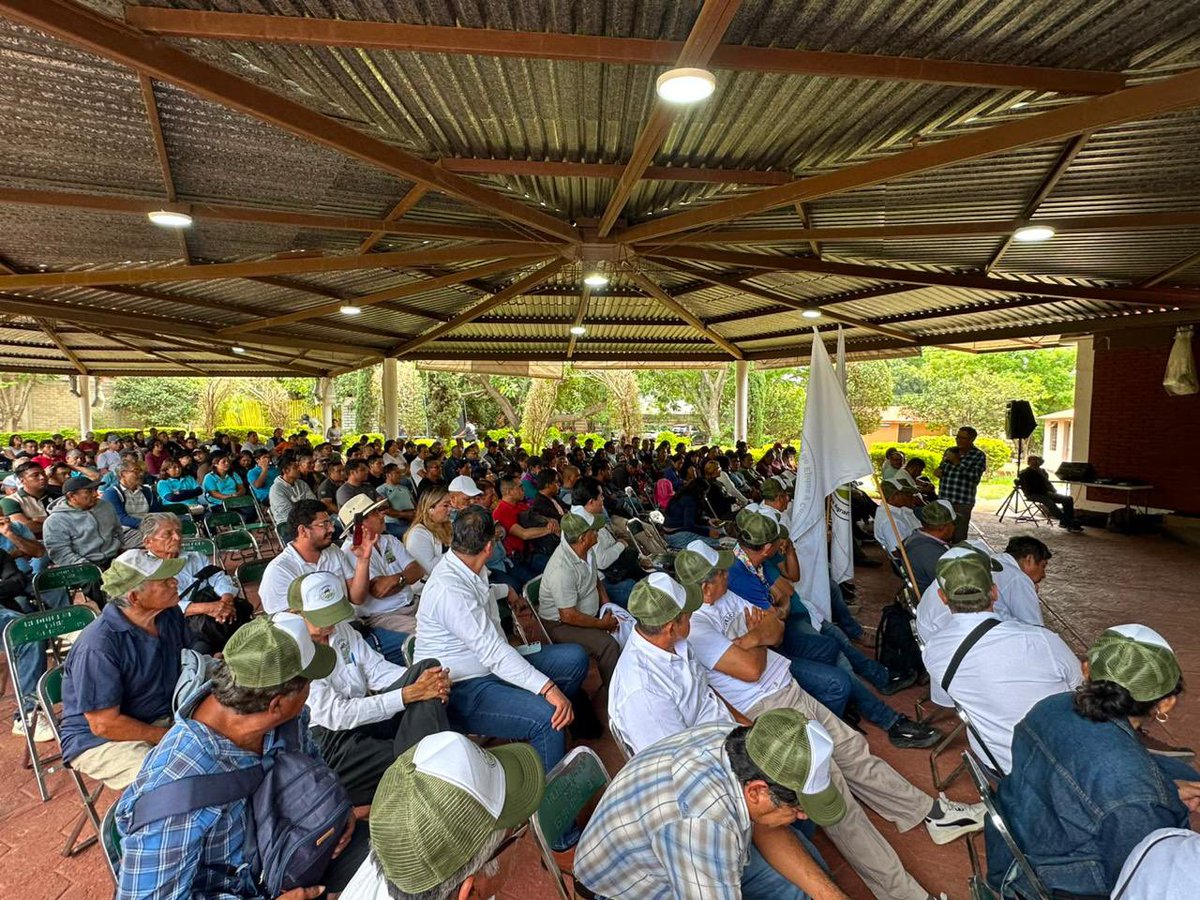 RENE_BEJARANO_M's tweet photo. Hoy celebramos una gran Asamblea Estatal del #MNE en Santa María #Coyotepec, Oaxaca, con liderazgos de las ocho regiones del estado. Reafirmamos nuestro compromiso con la organización, la unidad y la consolidación de la #4T. ¡La esperanza sigue creciendo en Oaxaca! #MNE #Oaxaca https://t.co/htvRFUO8Pf